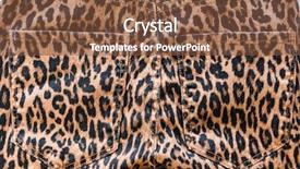  Presentation with classical pattern - Cool new presentation theme with taylor - leopard pattern pants -pocket textuer backdrop and a  colored foreground