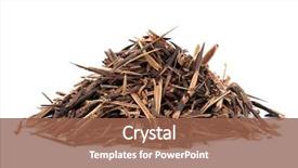  Presentation with spine - Colorful presentation theme enhanced with tcm - chinese honeylocust spine herb used backdrop and a  colored foreground