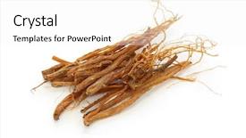  Presentation with ginseng - Beautiful PPT theme featuring tcm - ginseng roots panax ginseng traditional backdrop and a white colored foreground