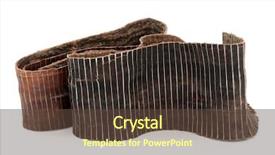  Presentation with rubber tree - Beautiful PPT layouts featuring tcm - hardy rubber tree bark used backdrop and a tawny brown colored foreground