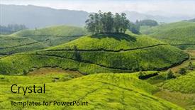  Presentation with india - Beautiful presentation theme featuring tea concept background - tea plantation backdrop and a gold colored foreground