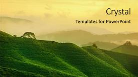  Presentation with high tea - PPT theme featuring tea farm in sunrise background and a yellow colored foreground