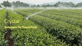  Presentation with farm - Beautiful presentation design featuring tea-farm-in-taitung-luye backdrop and a tawny brown colored foreground