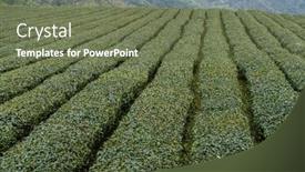  Presentation with taiwan - 