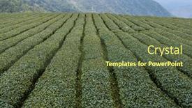  Presentation with taiwan - 