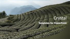  Presentation with taiwan - 