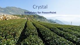  Presentation with taiwan - 