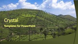  Presentation with tea fields - Audience pleasing theme consisting of tea fields in mumnar kerala backdrop and a tawny brown colored foreground