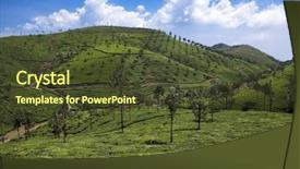  Presentation with tea fields - PPT layouts featuring tea fields in mumnar kerala background and a tawny brown colored foreground