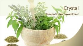  Presentation with mortar and pestle - Audience pleasing PPT layouts consisting of tea fresh - mortar and pestle with herbs backdrop and a soft green colored foreground
