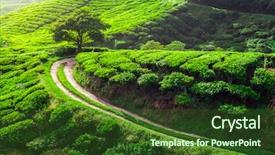  Presentation with meadow - Amazing PPT theme having tea meadow with road backdrop and a tawny brown colored foreground