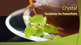  Presentation with nettle - Theme consisting of tea-nettle background and a tawny brown colored foreground