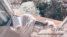  Presentation with light book - Audience pleasing theme consisting of tea or coffee glasses backdrop and a soft green colored foreground