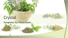  Presentation with tea collection - Audience pleasing theme consisting of tea plant - herbs and spices collection backdrop and a soft green colored foreground