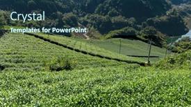  Presentation with cameron highland - 