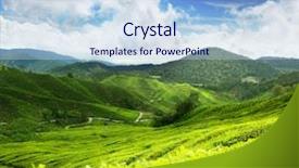  Presentation with tea plantation - PPT theme enhanced with tea plantation cameron highlands malaysia background and a light blue colored foreground