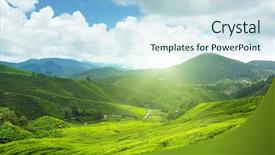  Presentation with high tea - Slide deck featuring tea plantation cameron highlands malaysia background and a sky blue colored foreground