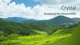  Presentation with tea plantation - PPT layouts featuring tea plantation cameron highlands malaysia background and a  colored foreground