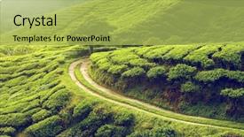  Presentation with tea plantation - PPT layouts enhanced with tea plantation in cameron highlands background and a yellow colored foreground