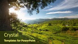  Presentation with tea plantation - Colorful slides enhanced with tea-plantation-in-the-valley backdrop and a tawny brown colored foreground