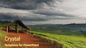  Presentation with uganda - Presentation theme with tea plantation in uganda background and a tawny brown colored foreground