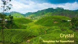 Presentation with tea plantation - Slide deck with tea plantation landscape in sri background and a tawny brown colored foreground