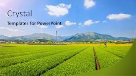  Presentation with tea japan - PPT theme enhanced with tea-plantation-landscape-in-yokkaichi background and a light blue colored foreground