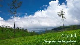  Presentation with tea plantation - PPT layouts with tea-plantation-nature-background background and a tawny brown colored foreground