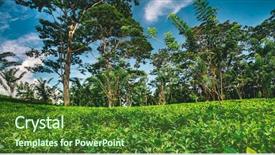  Presentation with tea plantation - Beautiful presentation theme featuring tea plantation surrounded backdrop and a tawny brown colored foreground