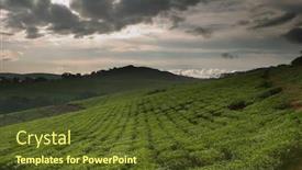  Presentation with tea plantation - PPT theme enhanced with rainbow falls near hilo on the big island of hawaii cascading into the water below background and a tawny brown colored foreground