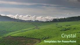  Presentation with tea plantation - Presentation theme with tea plantation background and a tawny brown colored foreground