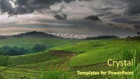  Presentation with tea plantation - PPT theme enhanced with tea plantation background and a tawny brown colored foreground