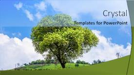  Presentation with hill - 