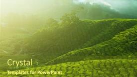  Presentation with morning sunrise - Theme having tea-plantations-at-cameron-highlands background and a tawny brown colored foreground