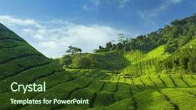  Presentation with tea plantation - Colorful theme enhanced with tea plantations at cameron highlands backdrop and a tawny brown colored foreground