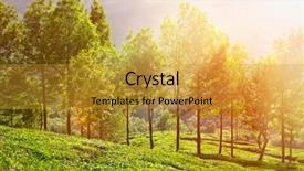  Presentation with munnar - Beautiful PPT theme featuring tea plantations in morning fog backdrop and a  colored foreground