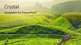  Presentation with munnar - Theme featuring tea plantations in morning fog background and a blonde colored foreground