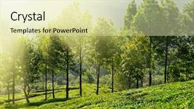  Presentation with munnar - Amazing PPT theme having tea plantations in morning fog backdrop and a soft green colored foreground