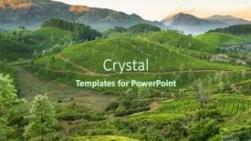  Presentation with kerala - Presentation theme having tea-plantations-in-munnar-kerala background and a tawny brown colored foreground