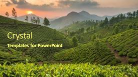  Presentation with kerala - Audience pleasing presentation theme consisting of tea-plantations-in-munnar-kerala backdrop and a tawny brown colored foreground