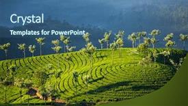  Presentation with tea plantation - Amazing presentation having tea plantations in munnar kerala backdrop and a ocean colored foreground