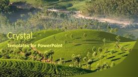  Presentation with munnar - Audience pleasing PPT layouts consisting of tea-plantations-in-munnar backdrop and a tawny brown colored foreground