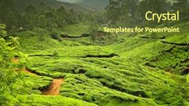  Presentation with tea plantation - Audience pleasing presentation theme consisting of tea plantations in state kerala backdrop and a tawny brown colored foreground