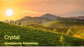  Presentation with tea plantation - Theme consisting of tea plantations in state kerala background and a tawny brown colored foreground