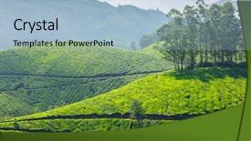  Presentation with munnar - PPT theme enhanced with tea plantations munnar kerala india background and a light blue colored foreground