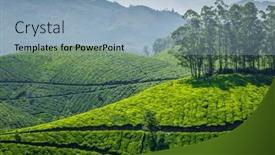  Presentation with munnar - Presentation theme enhanced with tea-plantations-munnar-kerala-india and a light blue colored foreground