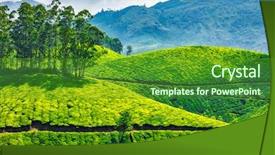  Presentation with munnar - PPT theme featuring tea plantations munnar kerala india background and a tawny brown colored foreground