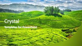  Presentation with rural india - Cool new PPT layouts with tea plantations munnar kerala india backdrop and a tawny brown colored foreground