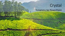  Presentation with munnar - Audience pleasing presentation theme consisting of tea plantations munnar kerala india backdrop and a light blue colored foreground