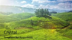  Presentation with munnar - Beautiful theme featuring tea plantations munnar kerala india backdrop and a gold colored foreground